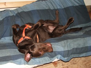 Nothing else to do on a rainy day