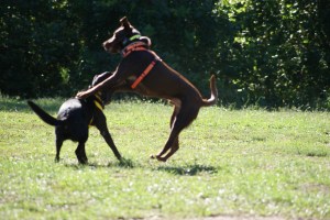 Spring is sooo awesome!