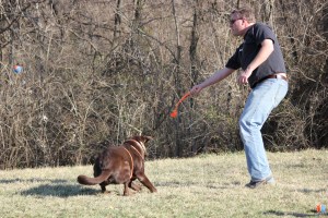 Orso giving it a try