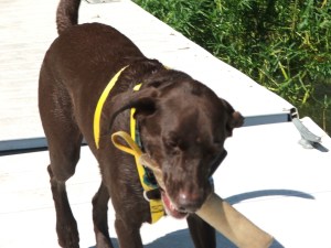 Charlie takes a turn