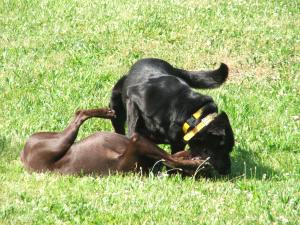 AJ still has the upper hand