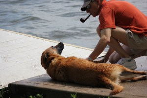 always time for a belly rub