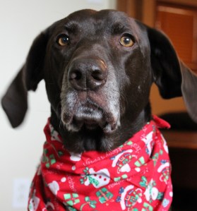 IMG_3691 - Copy (1192x1280)