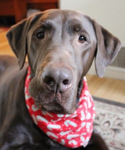 IMG_3707 - Copy (1070x1280)