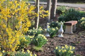 IMG_4135 (1280x853) (2)