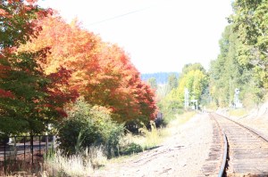 IMG_0112 (1280x853) (1280x853)