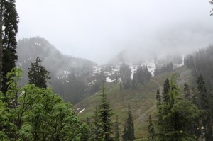 IMG_0451 (1280x853) (2)