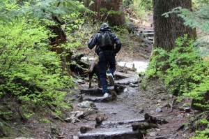 IMG_4652 (1280x853) (4)