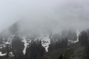 IMG_4675 (1280x853) (3)