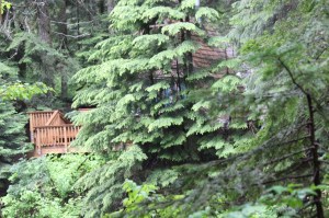 IMG_4688 (1280x853) (2)