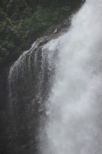 IMG_4712 (853x1280) (4)